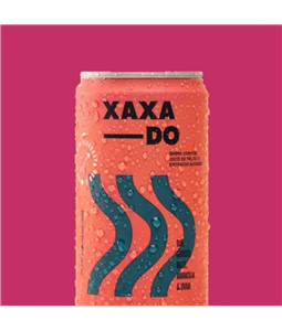 Drink Pronto YVY Xaxado 269 ml