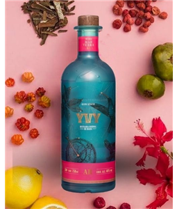 Gin YVY Garrafa 750 ml - AR